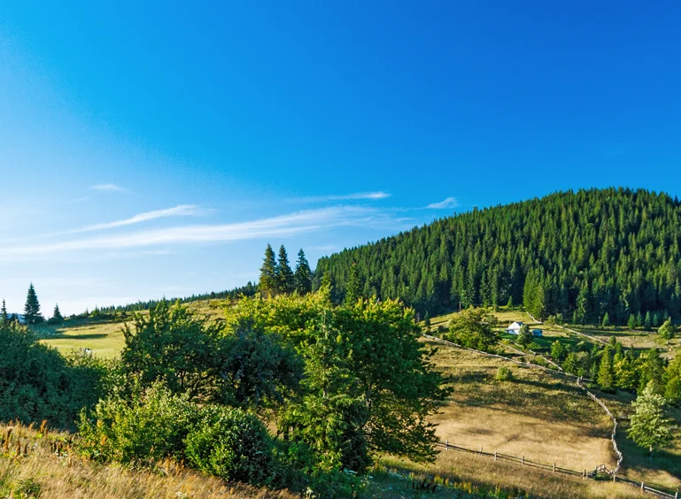 accueil_header_img-4