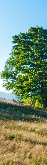 accueil_header_img-6